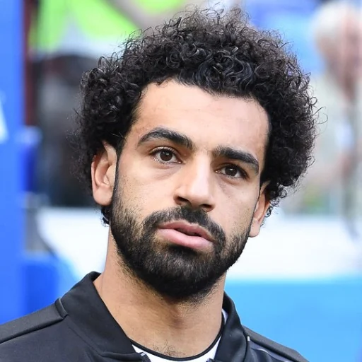 دليل مصوّر