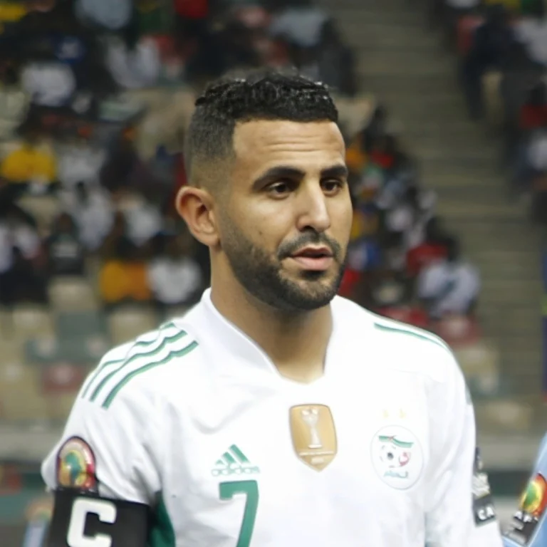 دليل مصوّر