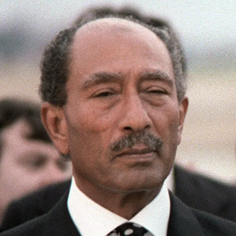 دليل مصوّر