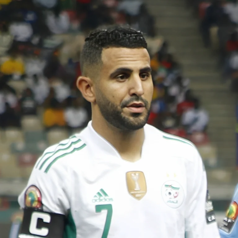 دليل مصوّر